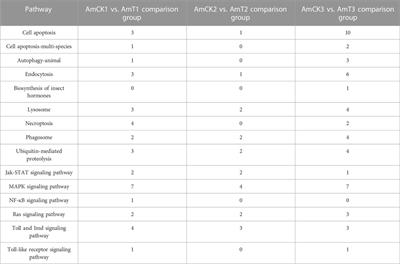 Comprehensive investigation and regulatory function of lncRNAs engaged in western honey bee larval immune response to Ascosphaera apis invasion